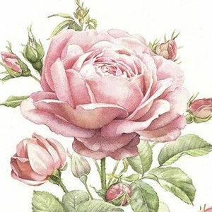 Meet your Posher, Bridget